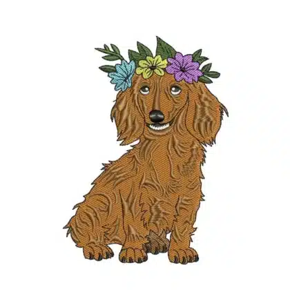 Dachshund Girl Wired Hair